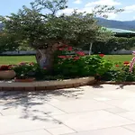 Hotel Senator Mediterraneo Tortora