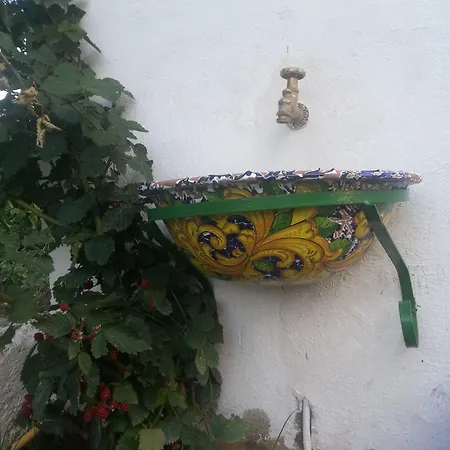Senator Mediterraneo